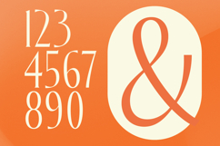 Zamilah - Modern Serif Font Product Image 15