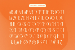 Zamilah - Modern Serif Font Product Image 18
