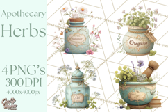 Vintage Herbal Apothecary Clipart, Spring Botanical Png Product Image 1