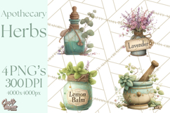 Vintage Herbal Apothecary Clipart, Spring Botanical Png Product Image 1