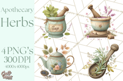 Vintage Herbal Apothecary Clipart, Spring Botanical Png Product Image 1