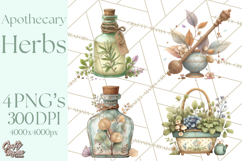 Vintage Herbal Apothecary Clipart, Spring Botanical Png Product Image 1