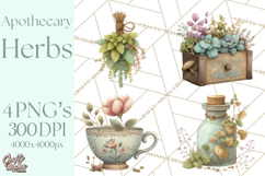 Vintage Herbal Apothecary Clipart, Spring Botanical Png Product Image 1