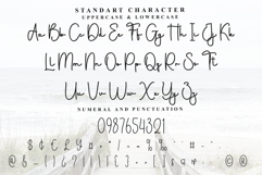 Zastapic Product Image 3