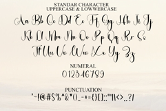 Zavier Signature Product Image 7