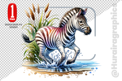 Cute Zebra Clipart - PNG File Product Image 2