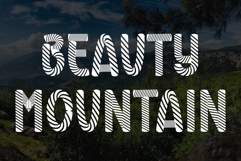 Zebra Product Image 5