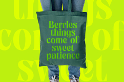 Zefta - Bold Tall Serif Font Product Image 2