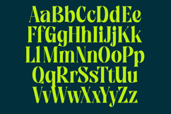 Zefta - Bold Tall Serif Font Product Image 15