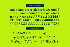 Zefta - Bold Tall Serif Font Product Image 19