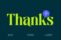 Zefta - Bold Tall Serif Font Product Image 20