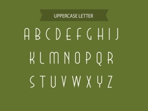 Zeraf Script Modern Elegant Display Font Product Image 5