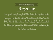 Zeraf Script Modern Elegant Display Font Product Image 7