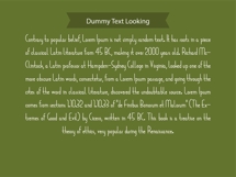 Zeraf Script Modern Elegant Display Font Product Image 2