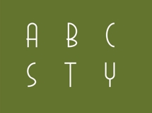 Zeraf Script Modern Elegant Display Font Product Image 11