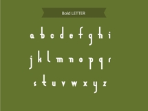 Zeraf Script Modern Elegant Display Font Product Image 14