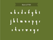 Zeraf Script Modern Elegant Display Font Product Image 8