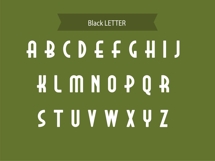 Zeraf Script Modern Elegant Display Font Product Image 9