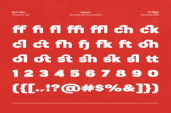 Zero Tranz - Bold Modern Expanded Sport Sans Product Image 12