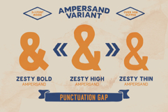 Zesty Spirit Typeface Product Image 23