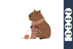 Capybara knitting colorful scarf with yarn ball vector illus Product Image 1