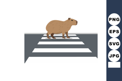 Capybara walking across pedestrian crosswalk in urban enviro Product Image 1