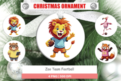 Ornament Zoo Football Team Product Image 1