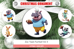 Ornament Zoo Football Team Product Image 1