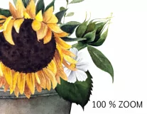 Watercolor sunflower clipart. Floral Sublimation PNG Product Image 3