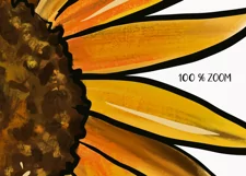Sunflower Sublimation design. Flower clipart. Floral PNG Product Image 4