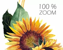 Watercolor sunflower wreath clipart. Sublimation PNG Product Image 4