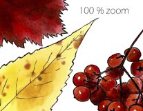 Autumn leaves frames bundle| Wreath clipart|Fall sublimation Product Image 5