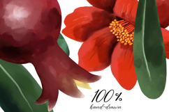 Hand Painted Pomegranate Botanical Clipart Set PNG Product Image 3