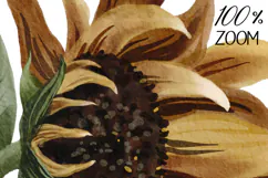 Watercolor sunflower and berries in autumn tones Product Image 3