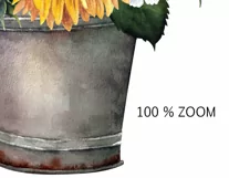 Watercolor sunflower clipart. Floral Sublimation PNG Product Image 4
