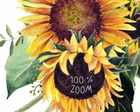 Watercolor sunflower png clipart. Product Image 5