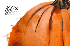 Hand Painted Watercolor Pumpkin PNG Clipart Product Image 3