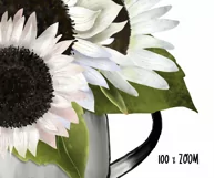 White Sunflower clipart|Floral Sublimation design|Garden PNG Product Image 3