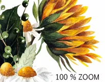 Watercolor sunflower bouquet clipart. Sublimation PNG Product Image 2