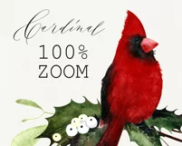 Watercolor Christmas clipart with cardinal birds Product Image 2