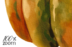 Hand Painted Watercolor Pumpkin Clipart PNG Product Image 5