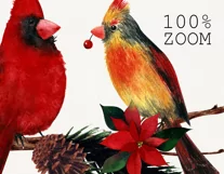 Watercolor Christmas clipart with cardinal birds. Product Image 2