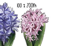 Spring flower clipart. Spring flowers Sublimation PNG Product Image 3