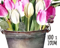 Watercolor tulips clipart.Spring flowers.Sublimation designs Product Image 3