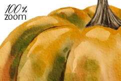 Hand Painted Watercolor Pumpkin Clipart PNG Product Image 3
