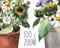 Watercolor sunflower clipart. Floral Sublimation PNG Product Image 5