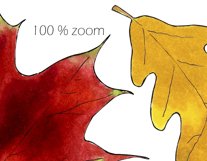 Autumn leaves frames bundle| Wreath clipart|Fall sublimation Product Image 7
