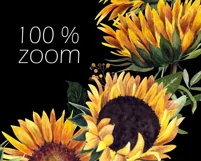 Watercolor sunflower wreath clipart. Sublimation PNG Product Image 3