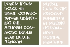 Absent Font Family Product Image 3