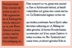 Acclaim Product Image 5